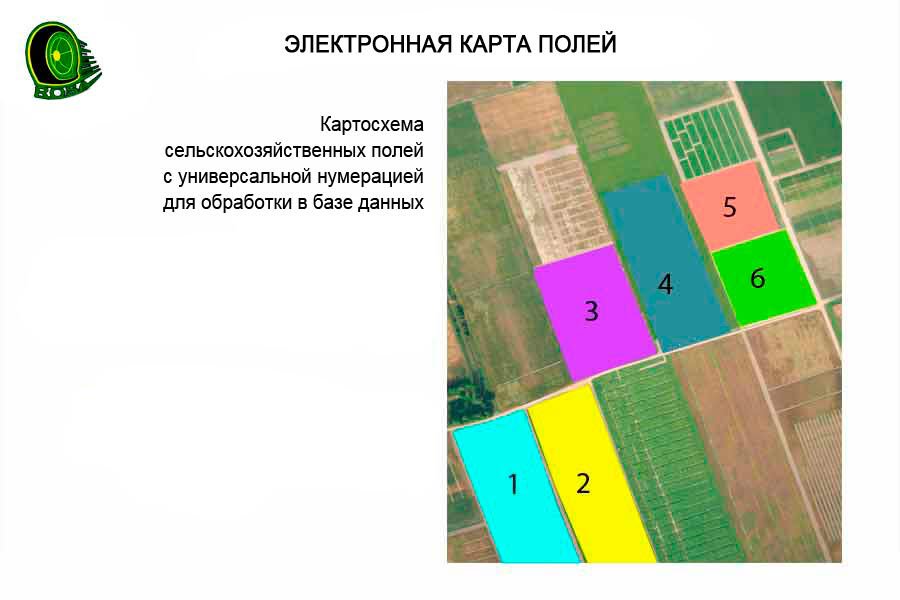 Карта по полям