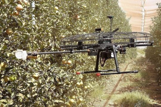 Уборочные дроны израильского стартапа Tevel оснащены возможностями искусственного интеллекта