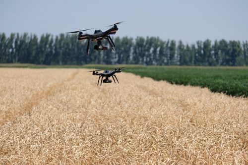дроны над полем