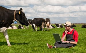 цифровизация фермы