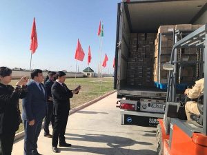 13 тонн сухого верблюжьего молока экспортировала Туркестанская область