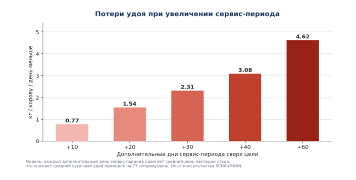 Экономика производства молока: как снизить себестоимость без потери качества