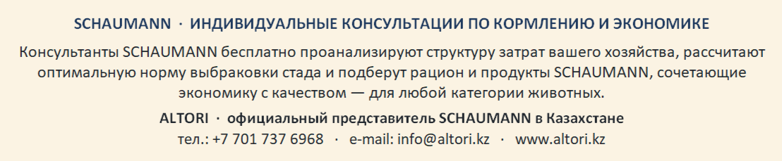 Экономика производства молока: как снизить себестоимость без потери качества