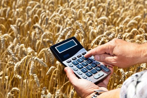 пшеница и калькулятор