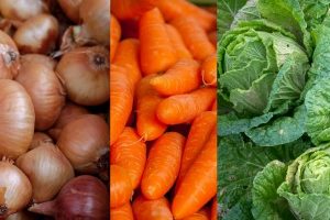 500 сертификатов для экспорта лука, моркови и капусты выдано в апреле
