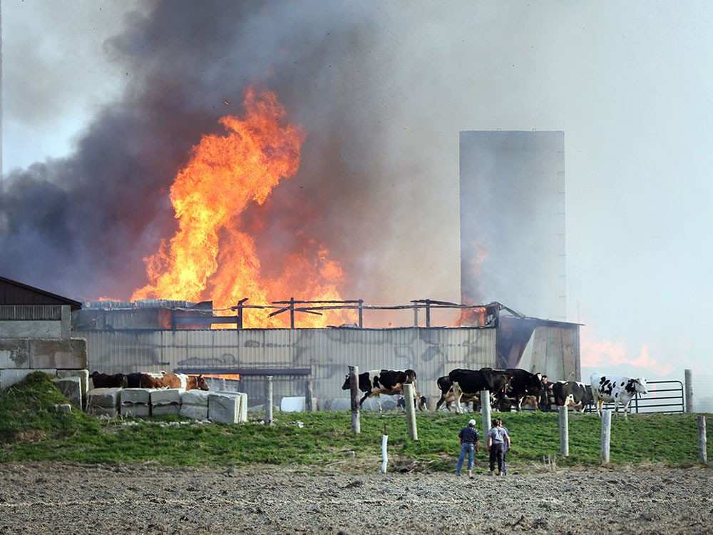 пожар на ферме