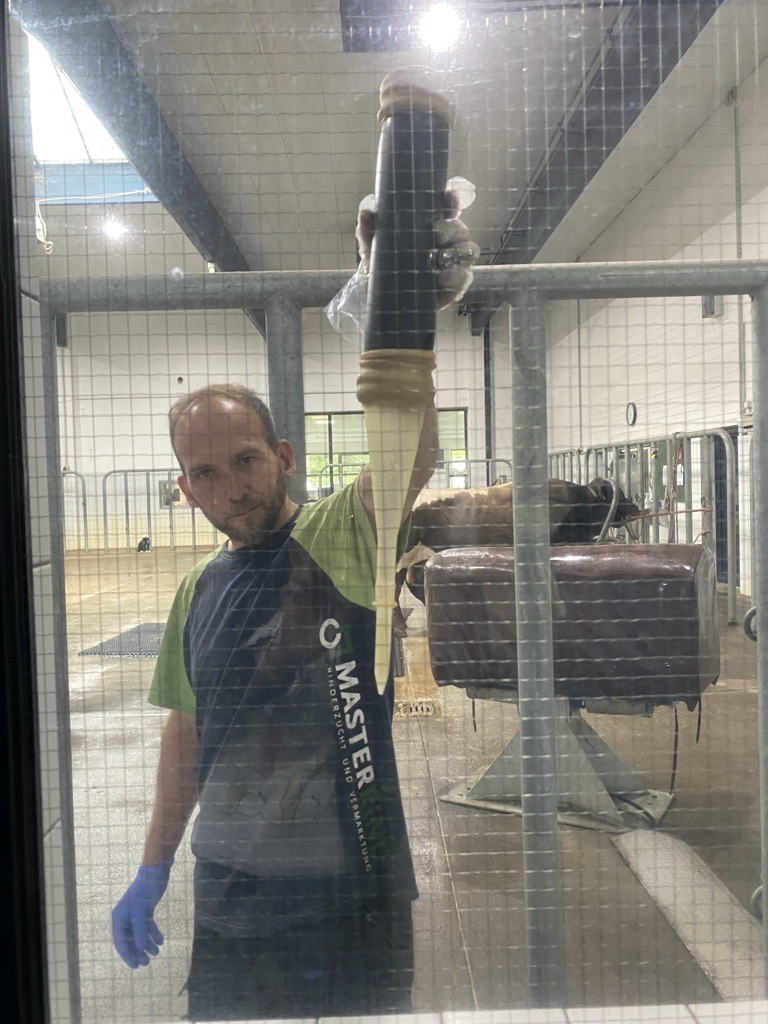 Государственно-частное партнёрство в ветеринарии: опыт Германии и перспективы для Казахстана