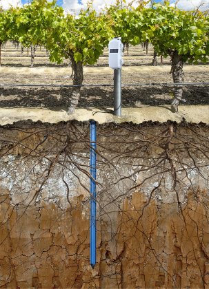 Многоуровневый датчик влажности почвы HOBOnet измеряет влажность и температуру почвы