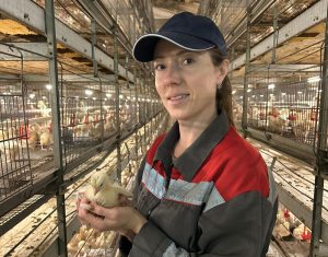 Как в костанайской области планируют достичь 100% самообеспечения по мясу птицы?