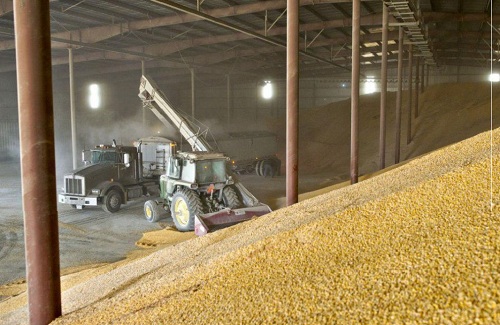 Казахстан закупил в госрезерв 350 тысяч тонн пшеницы