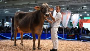 Интеллектуальное животноводство: устойчивый рост продуктивности