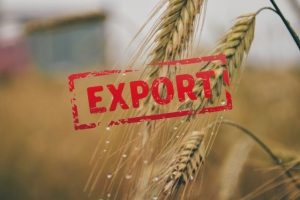 Экспорт зерна