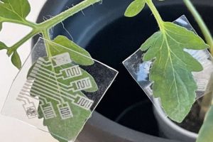 Электронный пластырь для растений