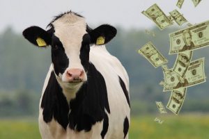 финансирование животноводства