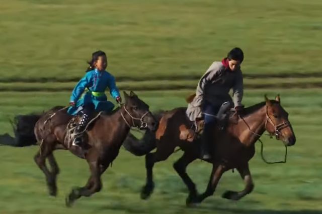 монгольские лошади