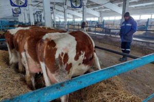 Очередной плановый выезд на молочную ферму ТОО «Енбек»
