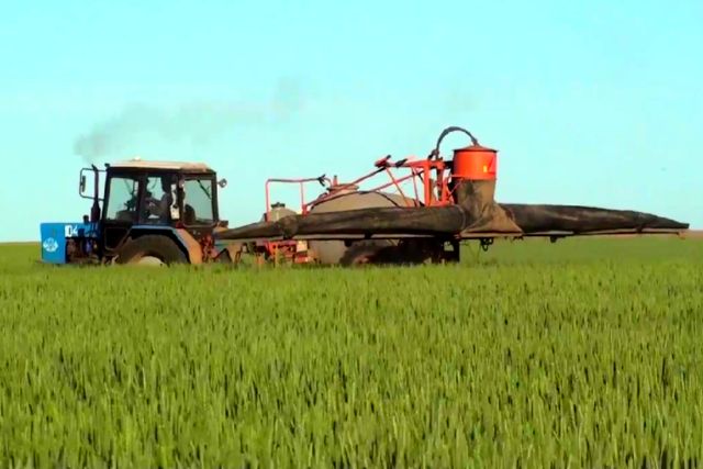 Опрыскивание поля пшеницы пестицидами