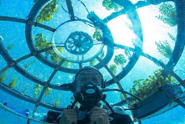 подводная аквакультура