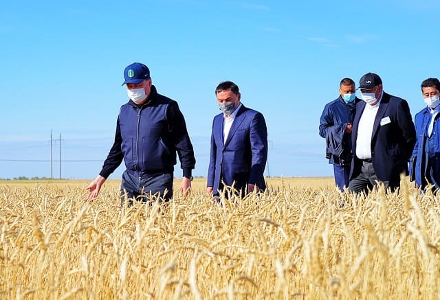 Премьер-Министр на поле пшеницы
