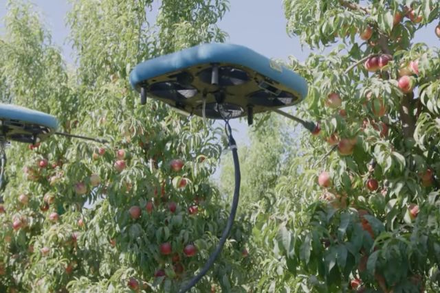 робот для сбора урожая