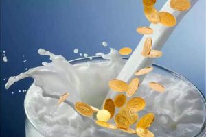 субсидирование молочной продукции