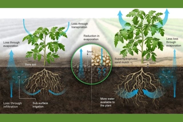 Технология сохранения влаги в почве
