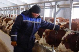 крестьянское хозяйство в ВКО