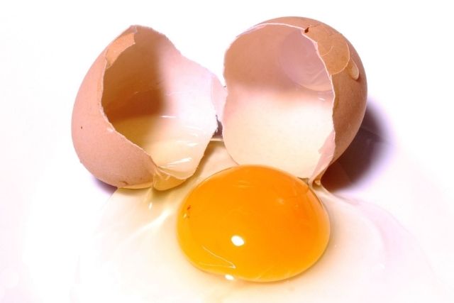 яйцо и яичная скорлупа