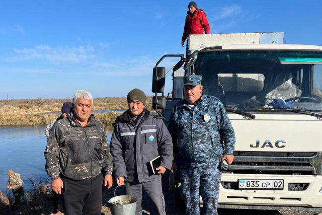 Зарыбление озера Алаколь