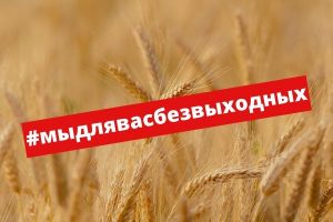 Аграрии России присоединяются к акции #мыдлявасбезвыходных