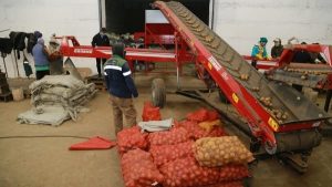 В Карагандинской области завершается уборка урожая