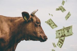 деньги для развития животноводства
