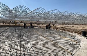 В Туркестанской области реализуется ряд инвестиционных проектов в секторе АПК