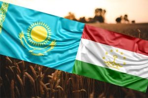 Казахстан и Таджикистан углубляют сотрудничество