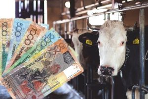 Кредитование и субсидирование животноводства