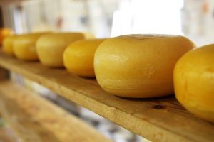 производство сыров