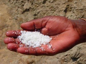 Объем экспорта казахстанской соли увеличился в 61 раз и вырос до 6,3 млн $