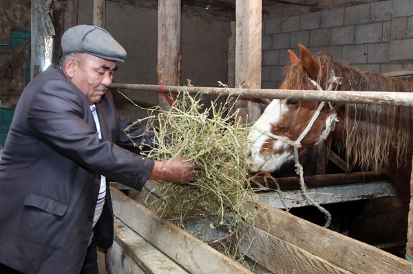 Подсобные хозяйства сельских жителей развивают в Жамбылской области
