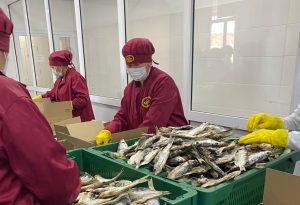 Производить рыбу, а не вылавливать призывает казахстанские хозяйства глава Минэкологии