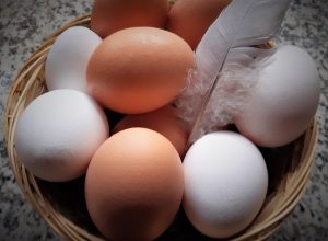Субсидирование производства яиц оставят до конца 2020 года