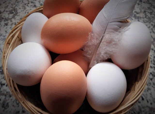 Субсидирование производства яиц оставят до конца 2020 года
