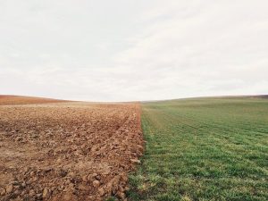Устойчивые сельхозметоды могут спасти средиземноморские почвы