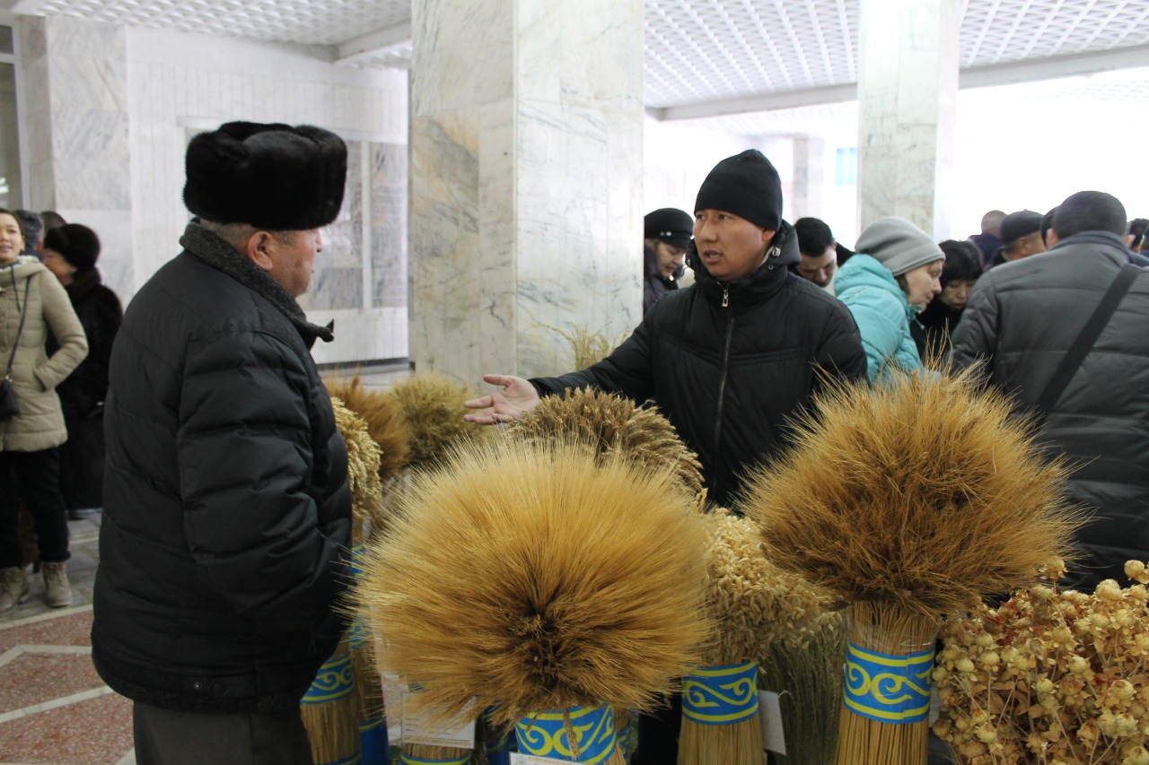 У фермеров Алматинской области появилось возможность закупать семена и удобрения на 20% дешевле