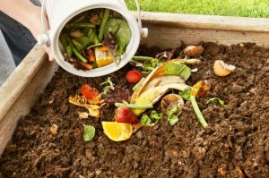 В Астане пищевые отходы превратят в компост