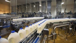 ВКО намерена увеличивать объем переработки молока