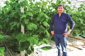 «Агропарк Талдыкорган» будет помогать аграриям