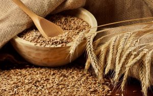 пшеничное зерно