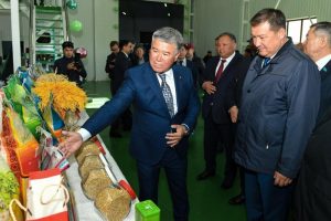 Беларусь увеличила экспорт продукции в Казахстан