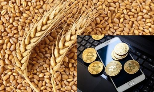 криптовалюта для сельского хозяйства