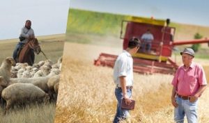 В сельском хозяйстве трудится свыше миллиона казахстанцев